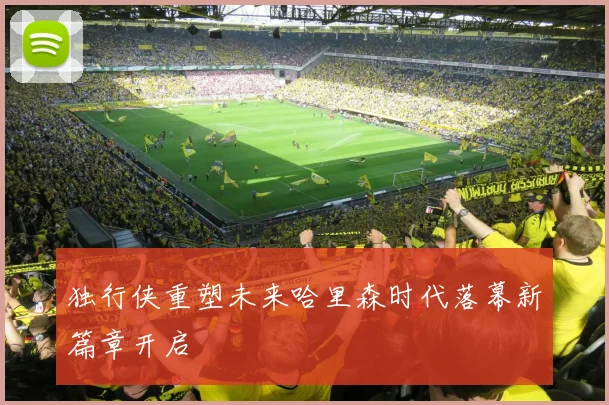 独行侠重塑未来哈里森时代落幕新篇章开启