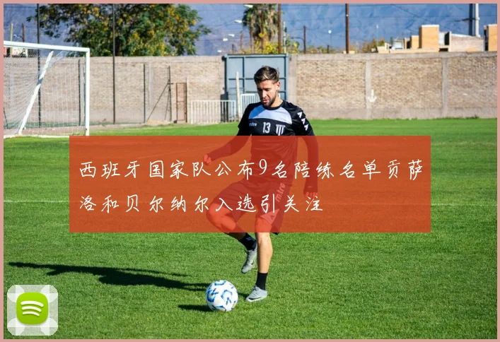 西班牙国家队公布9名陪练名单贡萨洛和贝尔纳尔入选引关注